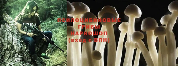 PSILOCYBIN Волоколамск